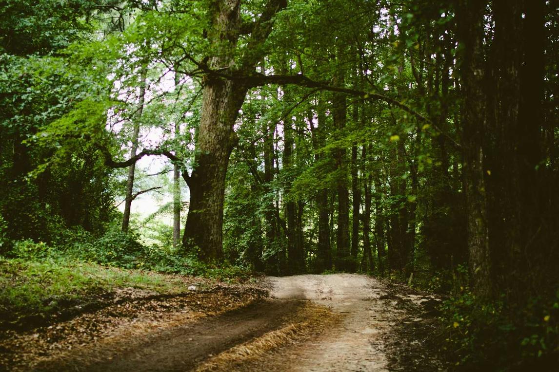 Animi non enim optio est fuga sint